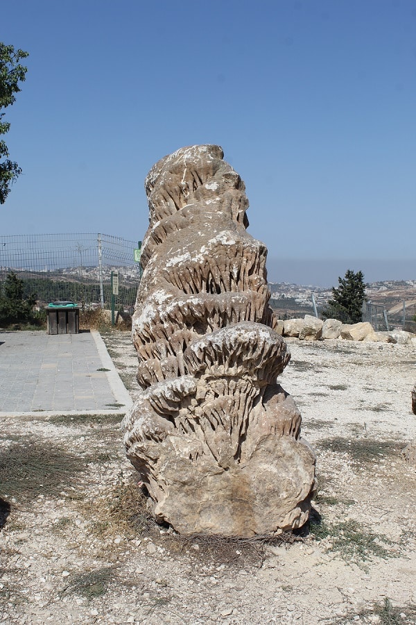 זקיף ממערת נטיפים