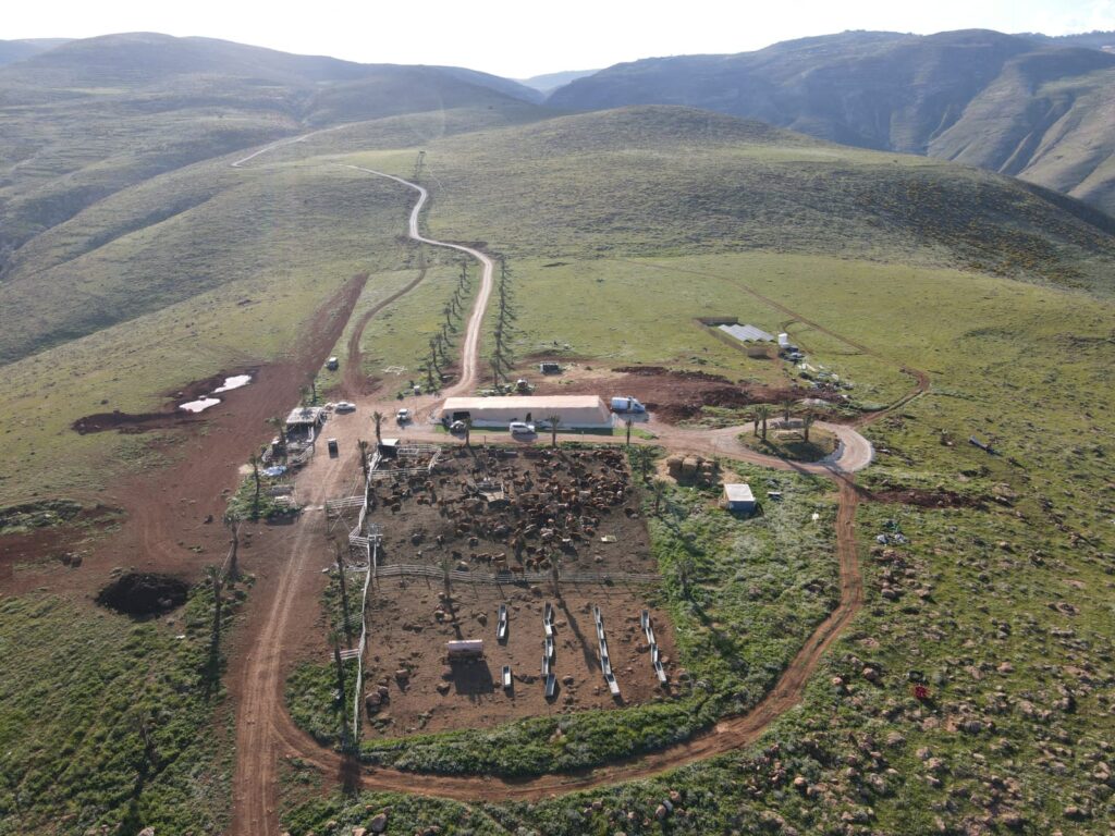 חוות הראשש